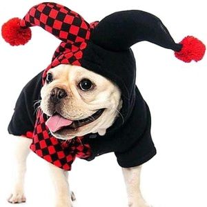 Dog costume size m